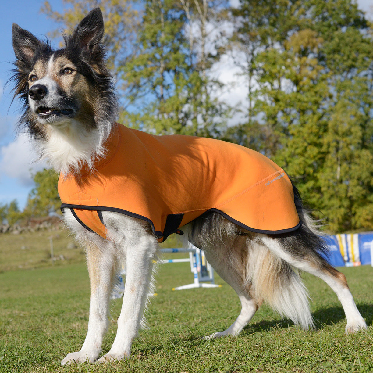 Out-n-out Power Stretch Orange