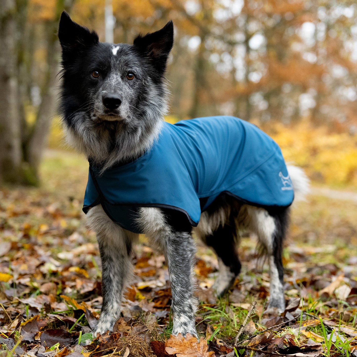 Out-n-out Neoflex Blue Rain Jacket