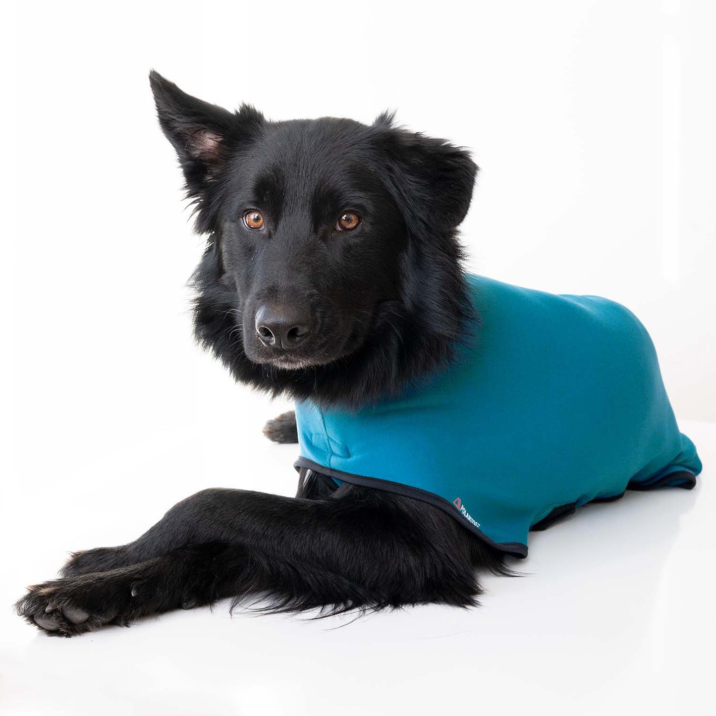 Out-n-out Power Stretch Seaport (Blue)