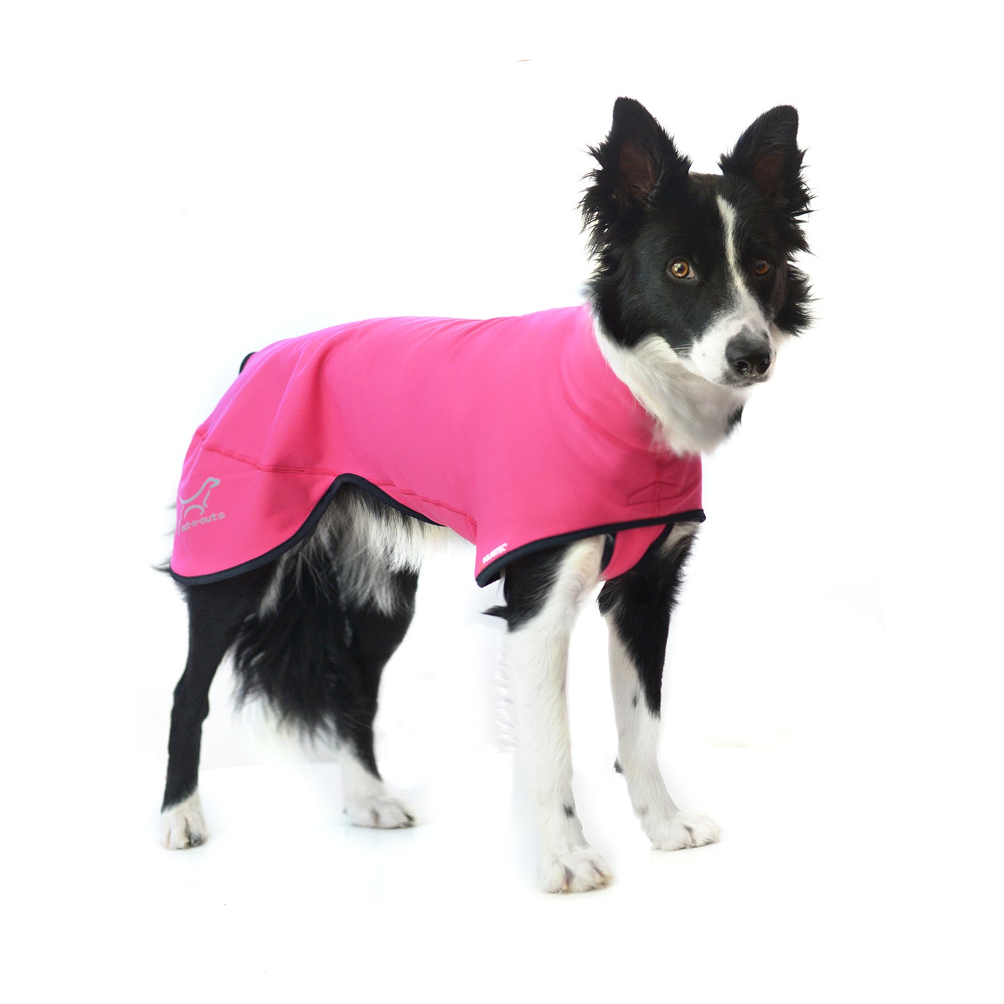 Out-n-out Power Stretch Raspberry