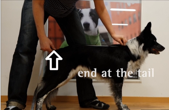 Out-n-out Power Stretch Black