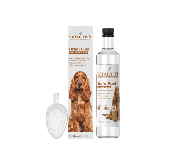 Canineceuticals Vetactiv8 Brain Fuel