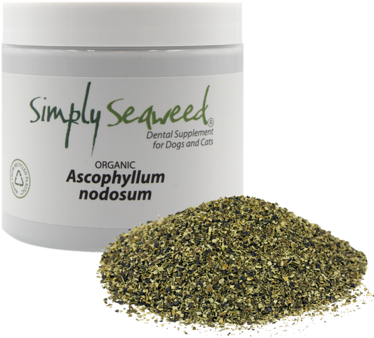 Simply Seaweed - Dental Supplement