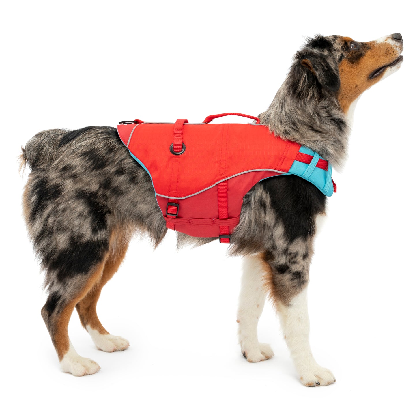 kurgo® Life Jacket Surf n Turf
