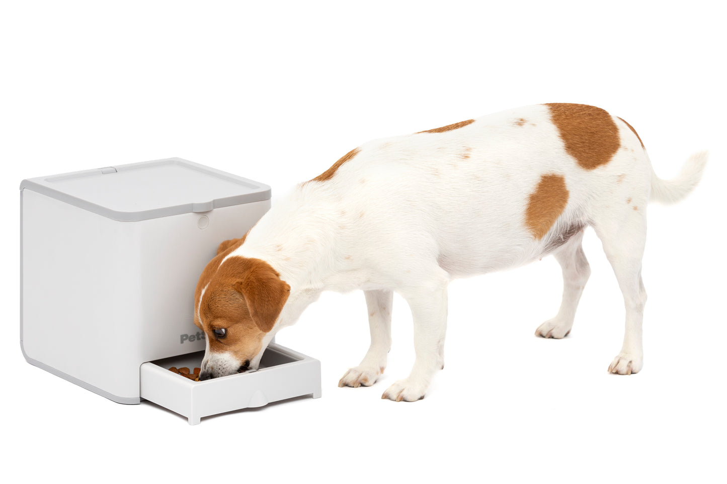 PetSafe® Teach and Treat Remote Reward Trainer