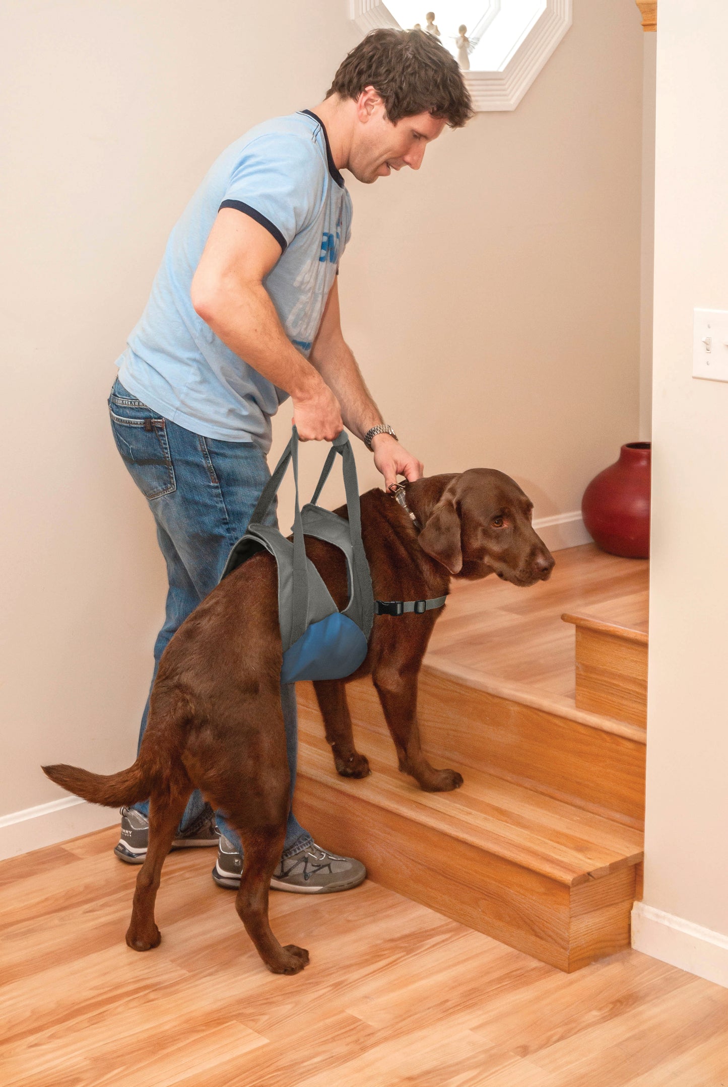 Kurgo Up and About Dog Lifter