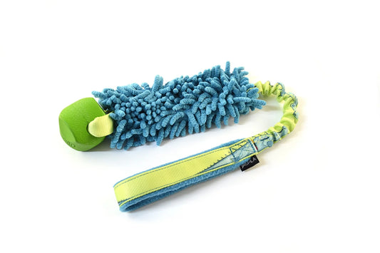 Bungee with Mop and Chuckit! Erratic Ball