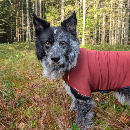 Out-n-out Power Stretch Dark Red