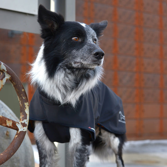 Out-n-out Neoflex Black Rain Jacket