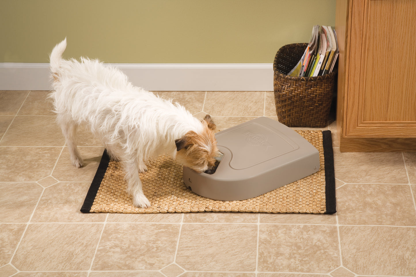 PetSafe Eatwell 5-Meal Pet Feeder
