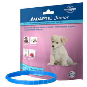Adaptil Junior Collar | Puppy Pastimes.