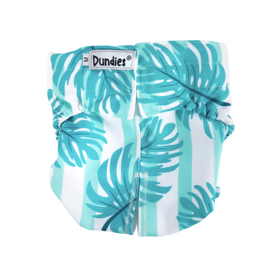 Dundies All In One Nappy with tail hole - S