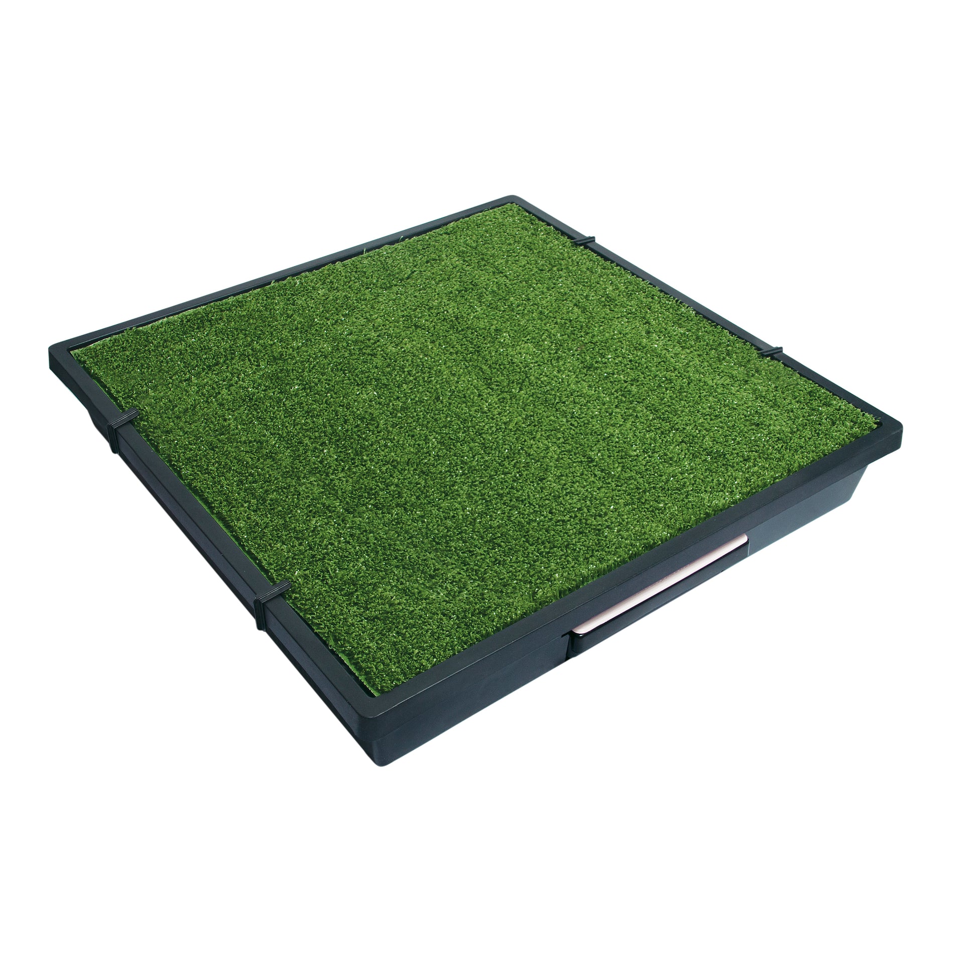 PetSafe® Pet Loo | Puppy Pastimes.