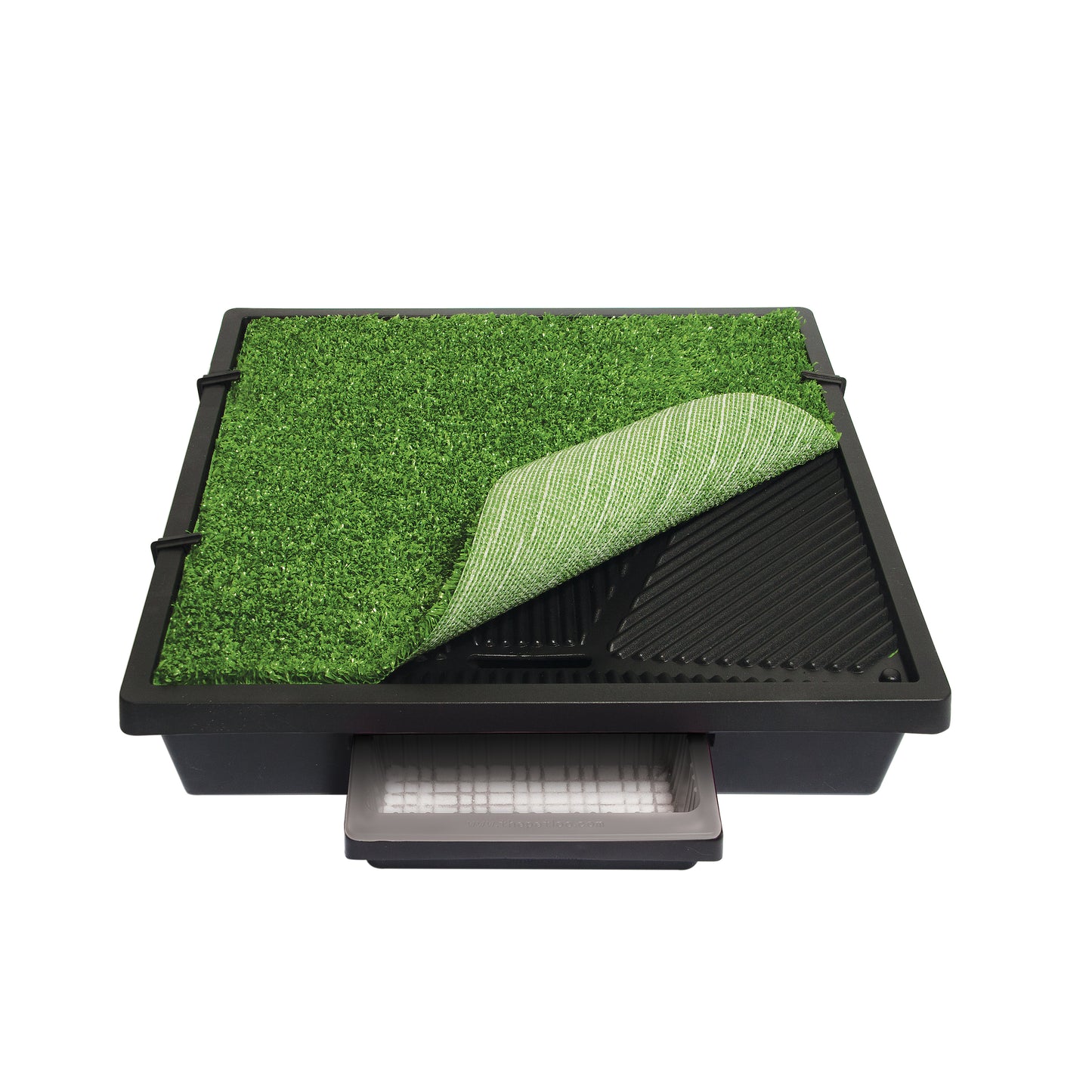 PetSafe® Pet Loo | Puppy Pastimes.