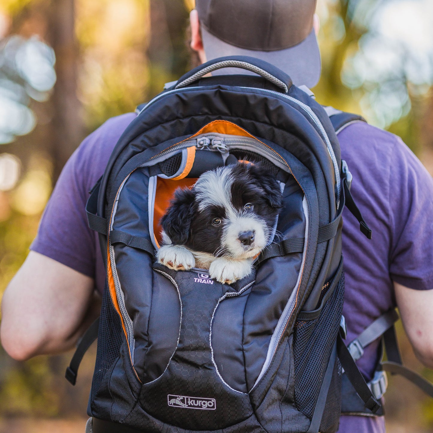 Kurgo G-Train Dog Carrier Backpack